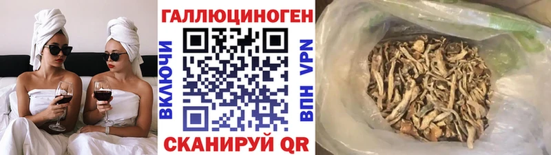 Псилоцибиновые грибы мицелий Воткинск