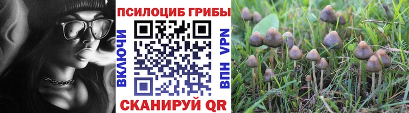 ОМГ ОМГ ссылка  Воткинск  Галлюциногенные грибы мицелий  где купить наркоту 