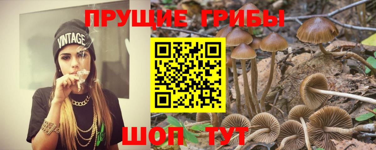 Воткинск  Псилоцибиновые грибы Magic Shrooms  Вход с VPN 