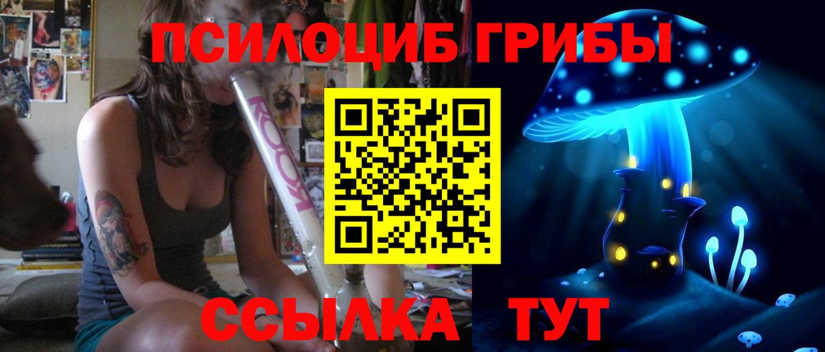 Псилоцибиновые грибы мицелий  Воткинск  Галлюциногенные грибы GOLDEN TEACHER 